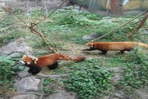 温州动物园
