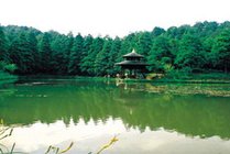寨寮溪风景区