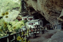 青田县石门洞森林公园