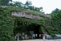 合肥野生动物园