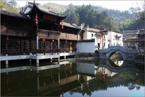 紫园
