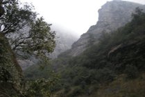 鄣山大峡谷风景区