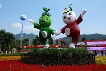 东南花都