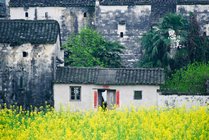 思溪延村景区