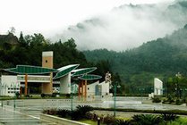 阳岭国家森林公园