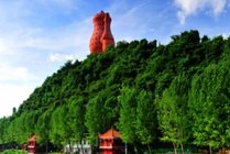 天下第一壶茶文化公园