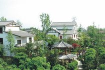 农科村