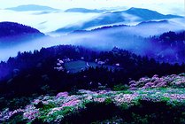 天台山国家重点风景名胜区