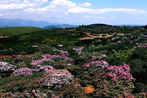 格萨拉生态旅游区