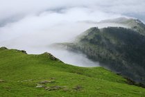 唐家河
