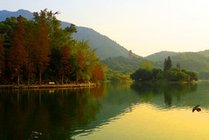 仙湖植物园